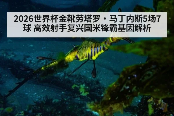 2026世界杯金靴劳塔罗·马丁内斯5场7球 高效射手复兴国米锋霸基因解析