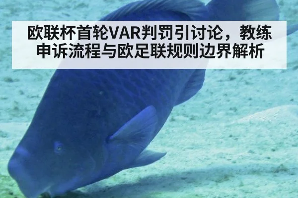 欧联杯首轮VAR判罚引讨论，教练申诉流程与欧足联规则边界解析
