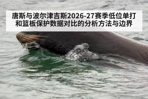 唐斯与波尔津吉斯2026-27赛季低位单打和篮板保护数据对比的分析方法与边界